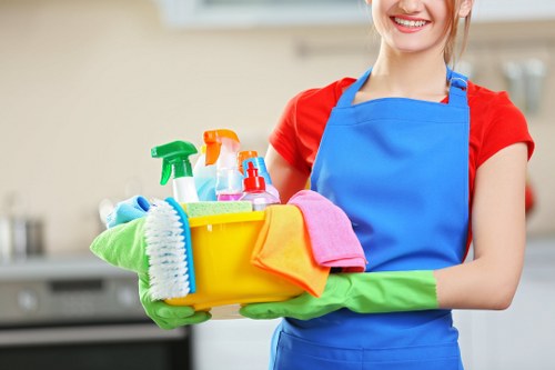 Professional deep cleaning service for kitchens and homes in Acton