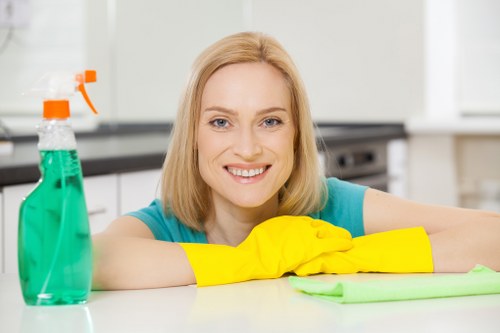 Deep cleaning and deodorising of a pet-affected carpet in Acton