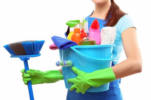 Curtain cleaning appointment in a West London property
