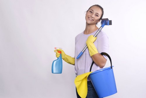 Detailed bathroom and limescale cleaning in a modern Acton property