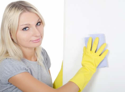 Upholstery and sofa pet stain removal service for Acton customers
