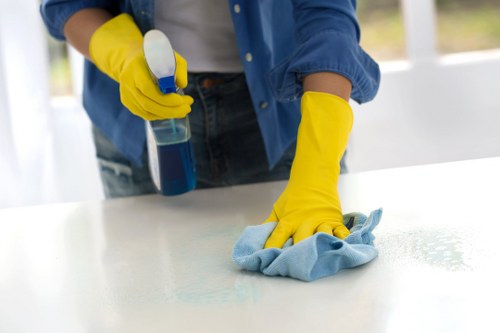 Local oven cleaning for flats and houses in Acton