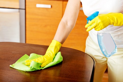 Upholstery cleaning process for a fabric sofa in Acton